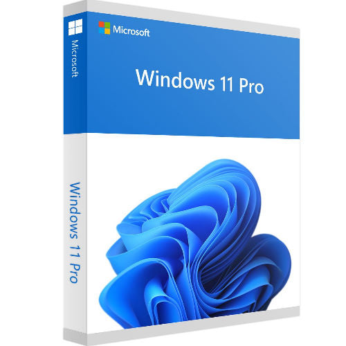 SO Windows 11 Professional (Pro) OEM Key