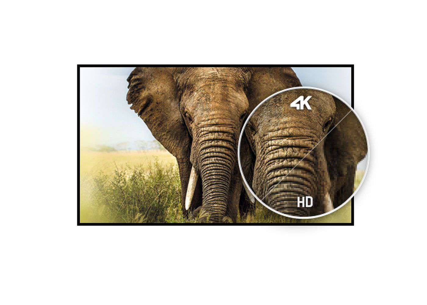 Monitor 65" TE6503MIS-B1AG 4K UHD Android - AGL